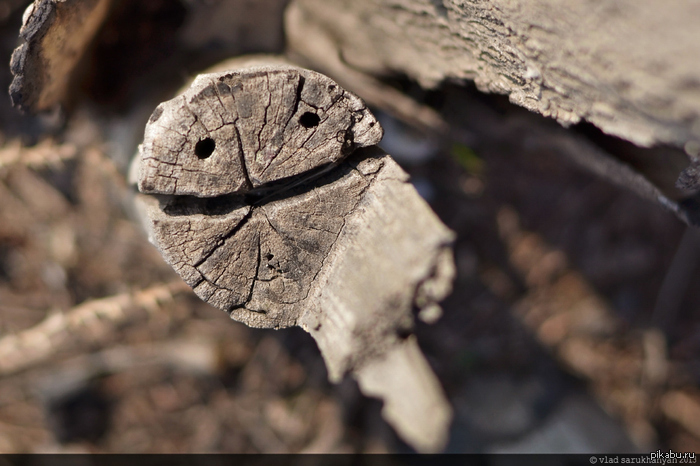 ������� ����� )))