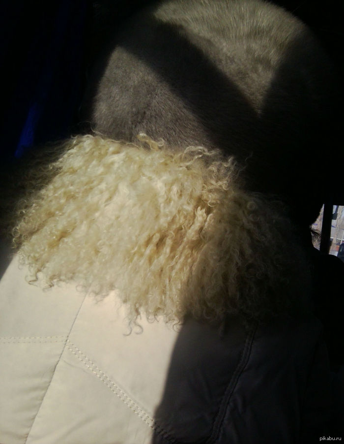 ������ ��� ��������?