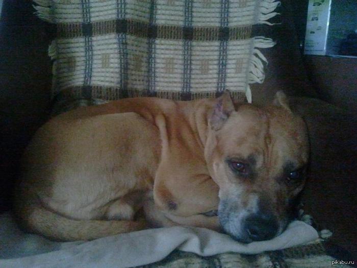 ��� ������� 12 ���... �������. ������� :)