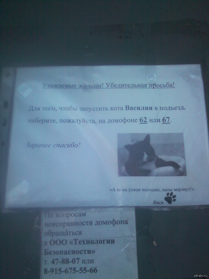немного доброты) во время работы на одном из подьездов увидела)