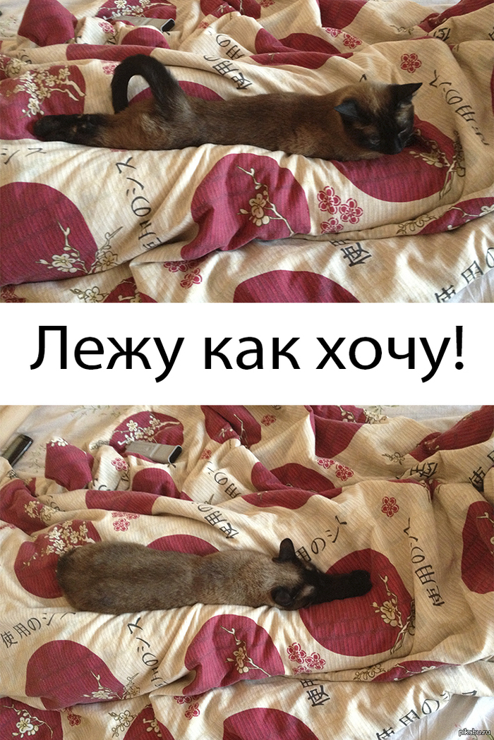 Вечер понедельника :)