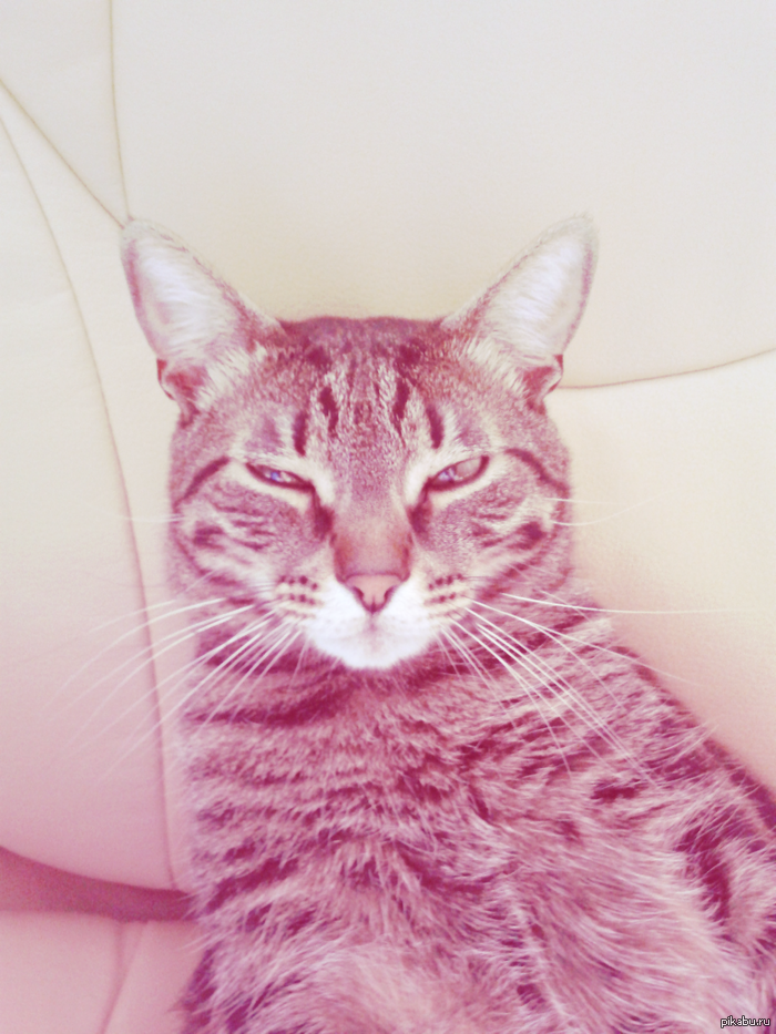 � � �����