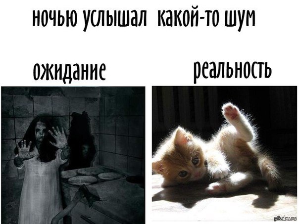 Услышишь какой то шорох. Кот шумит. Ночные звуки. Мем с котом про шум ночью. Шум по ночам.