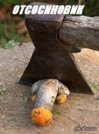 Грибы смешные картинки