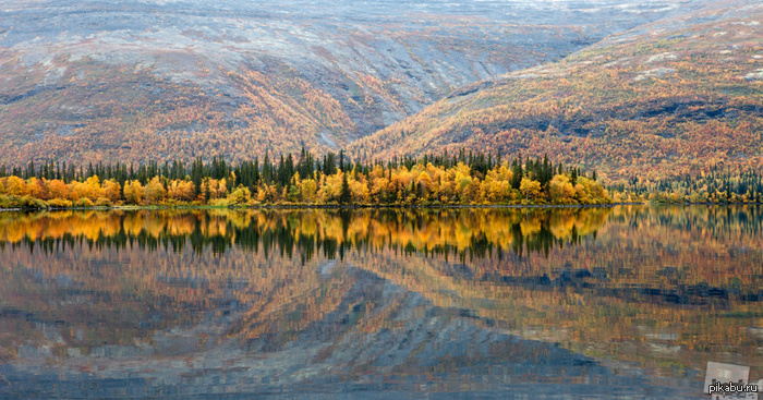 ������� ������