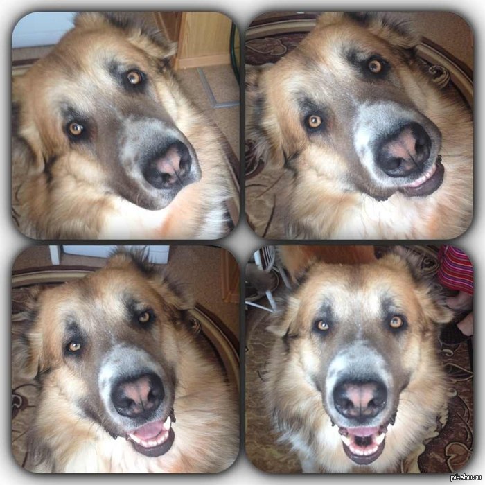 �������� ��������? ��� �� - ��� ��������� ��������))))