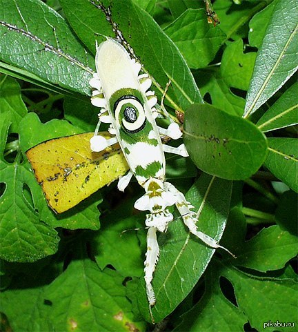 ����� �� �� ������ �� ������?   ��� ����� ��������� � ���������.