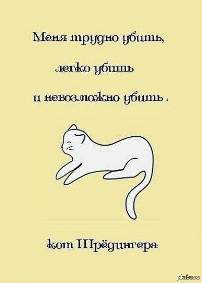 Кот шредингера что