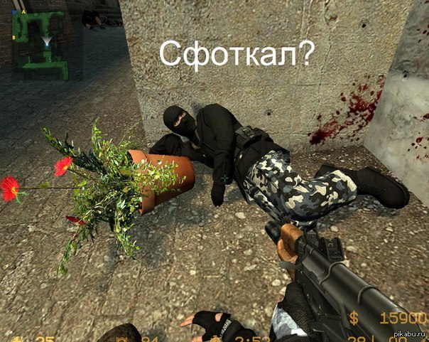       ) 