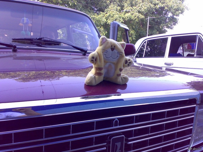 Jaguar Russian edition( ����� ������� ������)