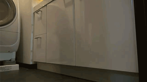 ��� ����������)