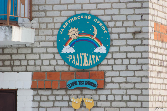 Как мы ездили в приют