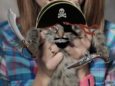 Yea-a-a-a-arrrrr!!!Тысяча мышей, два дублона за пакетик Friskies!!!