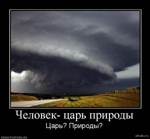 Царь природы. Человек царь природы фото. Юмор царь природы. Человек царь природы юмор. Докажите что человек царь природы.