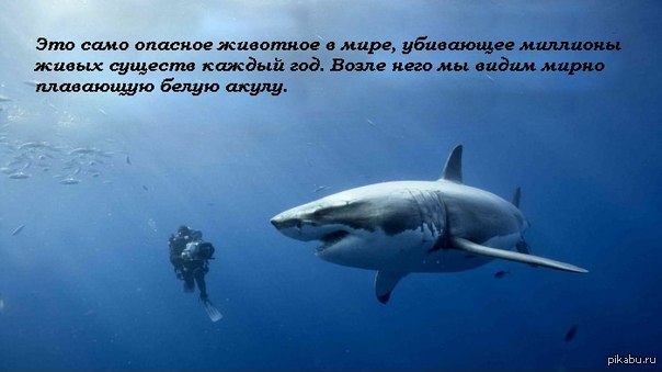 Про людей | Пикабу