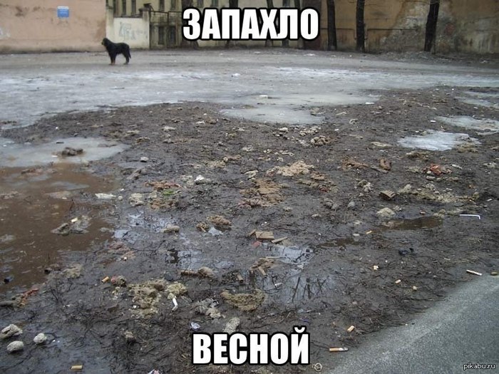 Запахло весной..