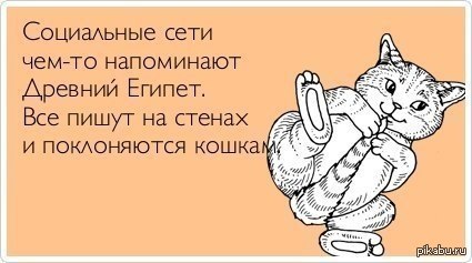 �������������...