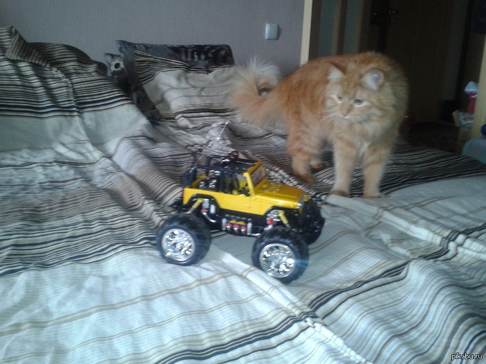 Моя мечта сбылась! :)