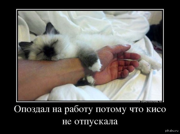 heeeeeelp!