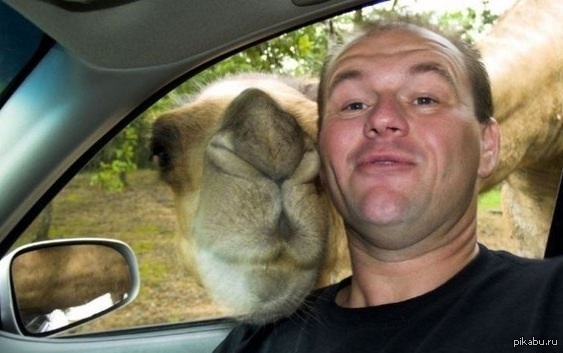 Нет, он все-таки улыбается.