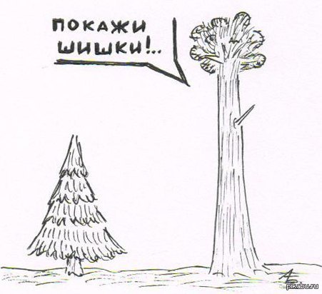 Шишка встала мем