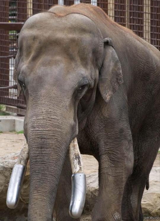 C������� ����� ��� �����