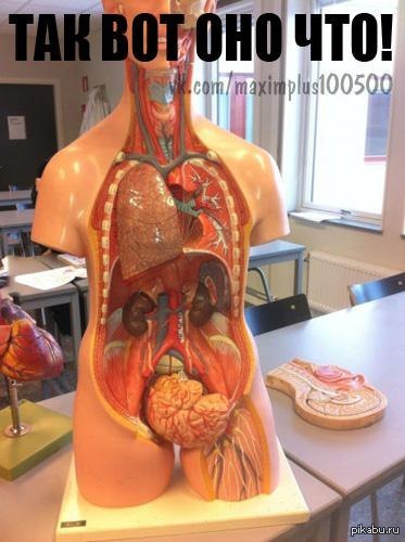 �� ��� �� ��