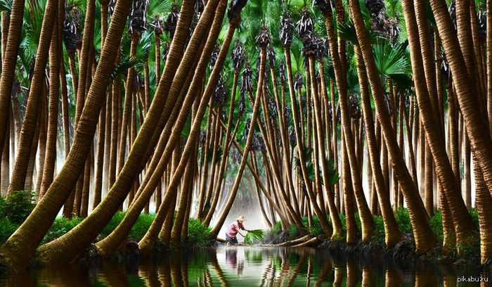   International Garden Photographer of the Year
