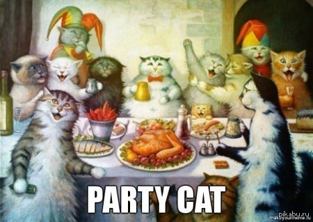 PARTY CAT
