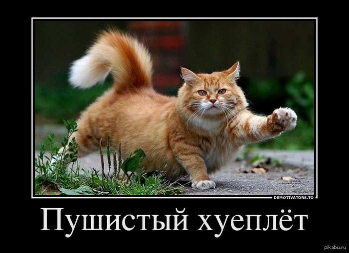 Не удержался! Картинка навеяла...