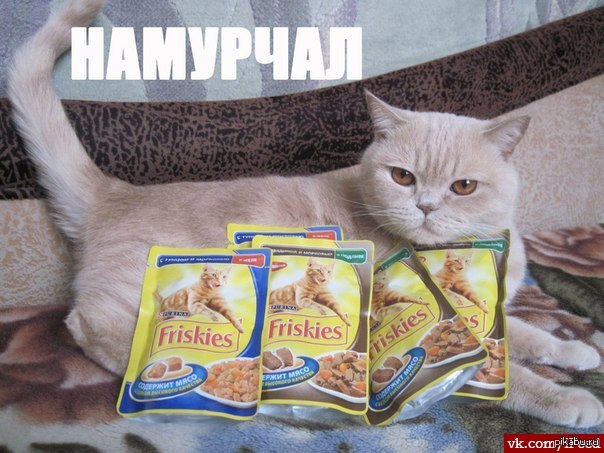 Баян,зато пост удалён