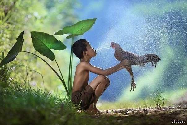 Друзья с детства. Виктор Цой насильно поит Мишу Маваши водкой