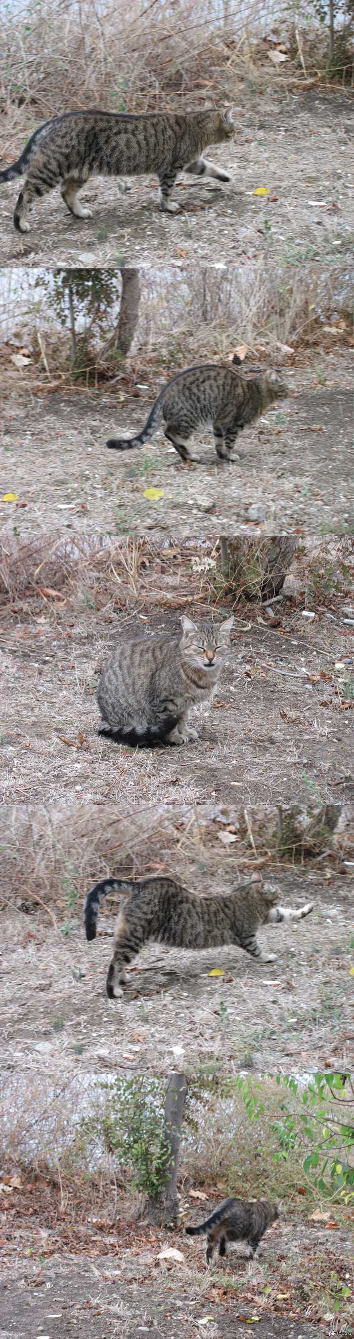 ������� ���� �� � ����