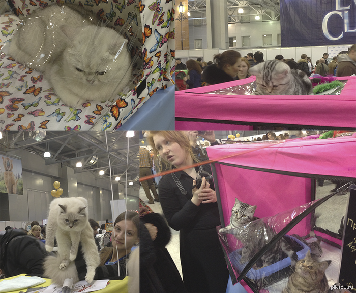 ��� ������� � ���������