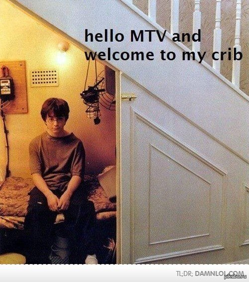 ������, mtv!