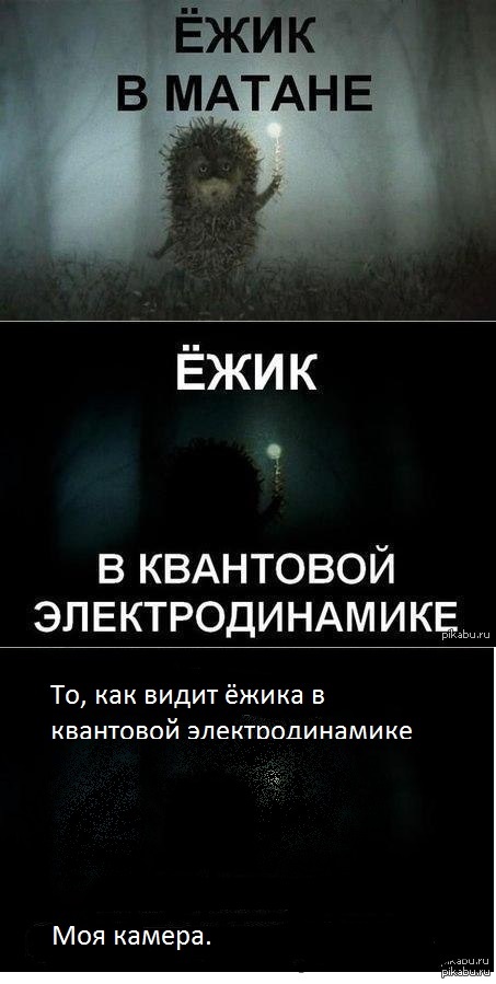 Ежик в тумане мемы