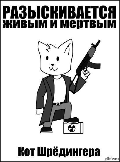 Шредингер кот