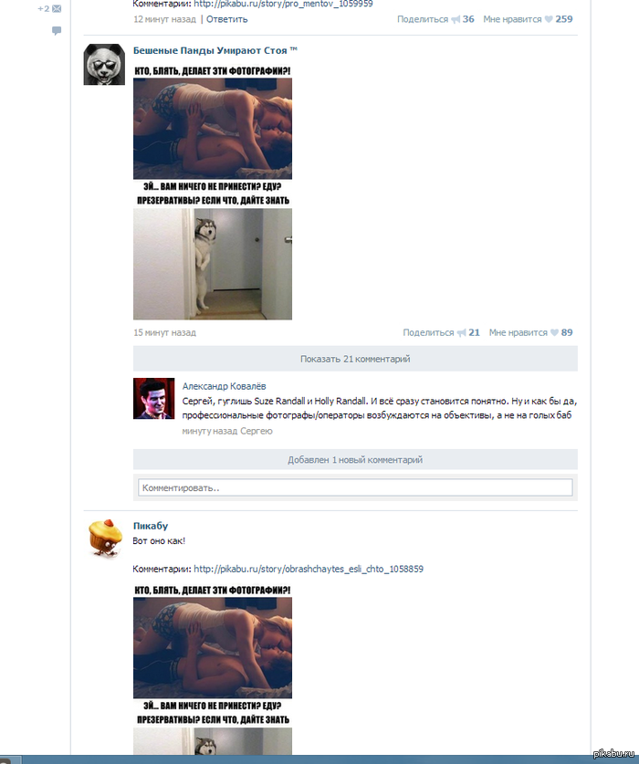 ������ ���� ����� ��� ����� ��.