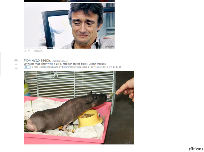 ����������