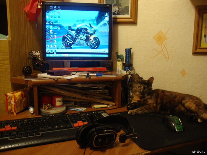 � ���� ������� ���� ��������!)