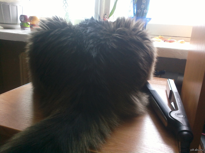       ,     &quot;&quot; .