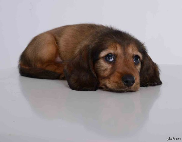 ����������� ������ ��������...(