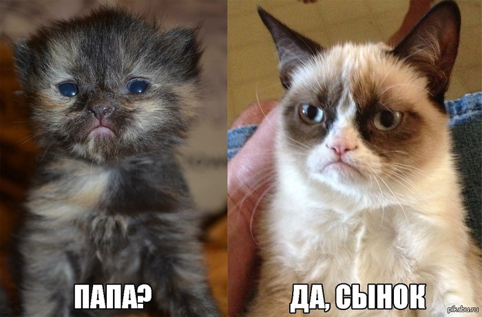 ��� � ����� :3