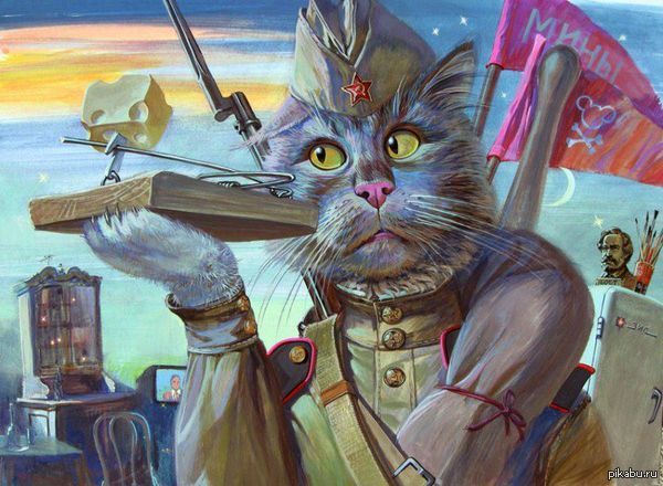 &quot;  &quot; (c) . . 