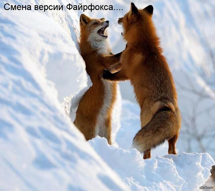 ����� Firefox.