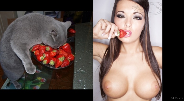 Strawberry - NSFW, Boobs, cat, Strawberry