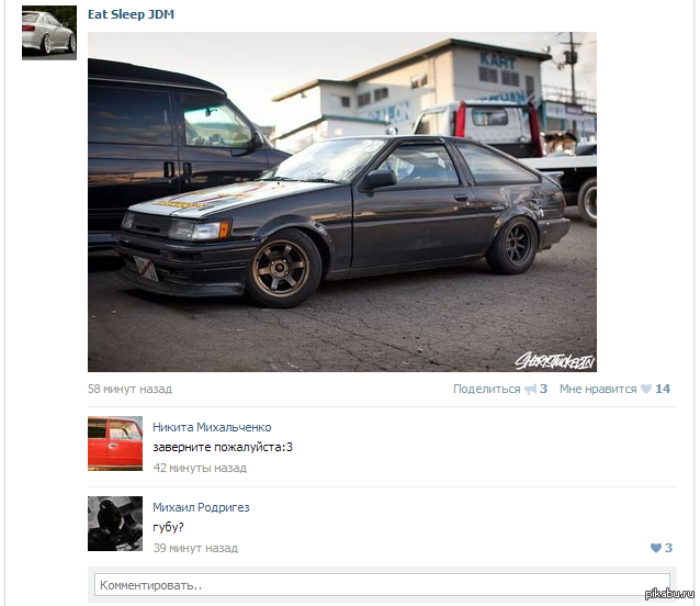 �����������