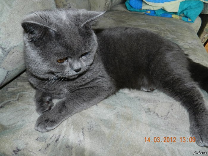 � �������, ��� ����� �������...)))