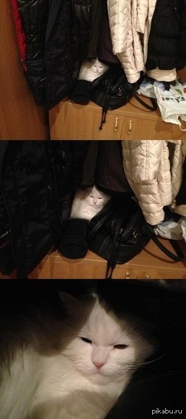 ��� ���������)