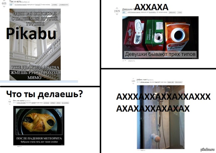     ,..   ))